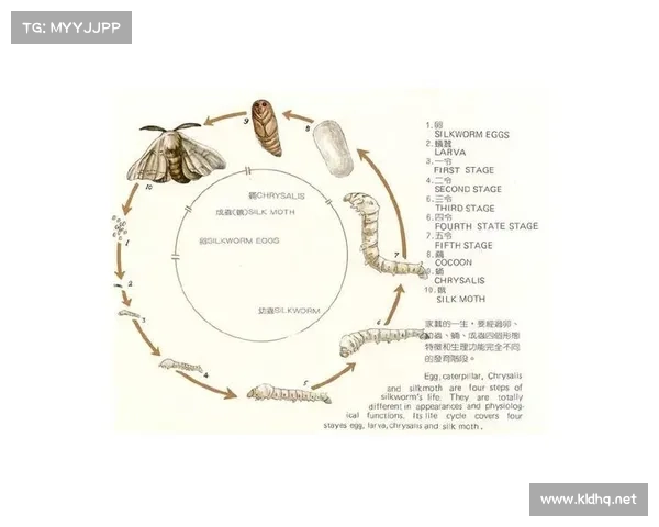 如何解读传奇人物的成长历程与内心变化背后的深层次原因 如何解读传奇人物的成长历程与内心变化背后的深层次原因